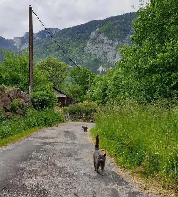 Apartman Le Chalet Du Biot Le Biot
